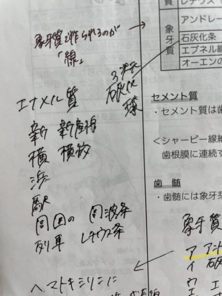 DH細木「勉強」