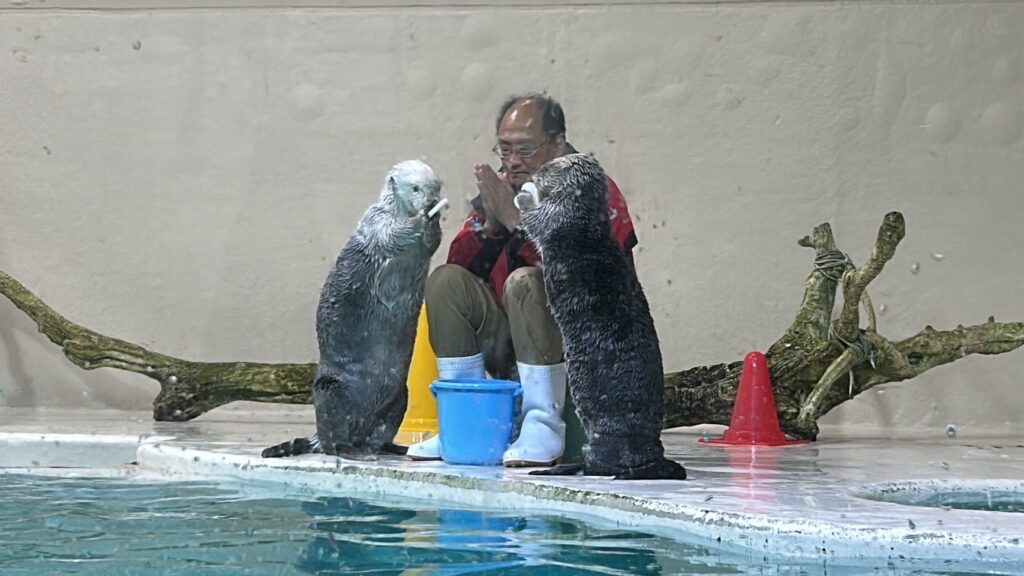 DH前川「鳥羽水族館」